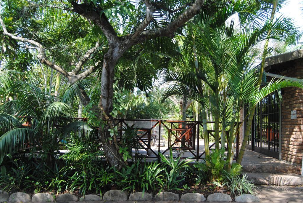 Saint Lucia Estuary African Dreamz Guest House מראה חיצוני תמונה