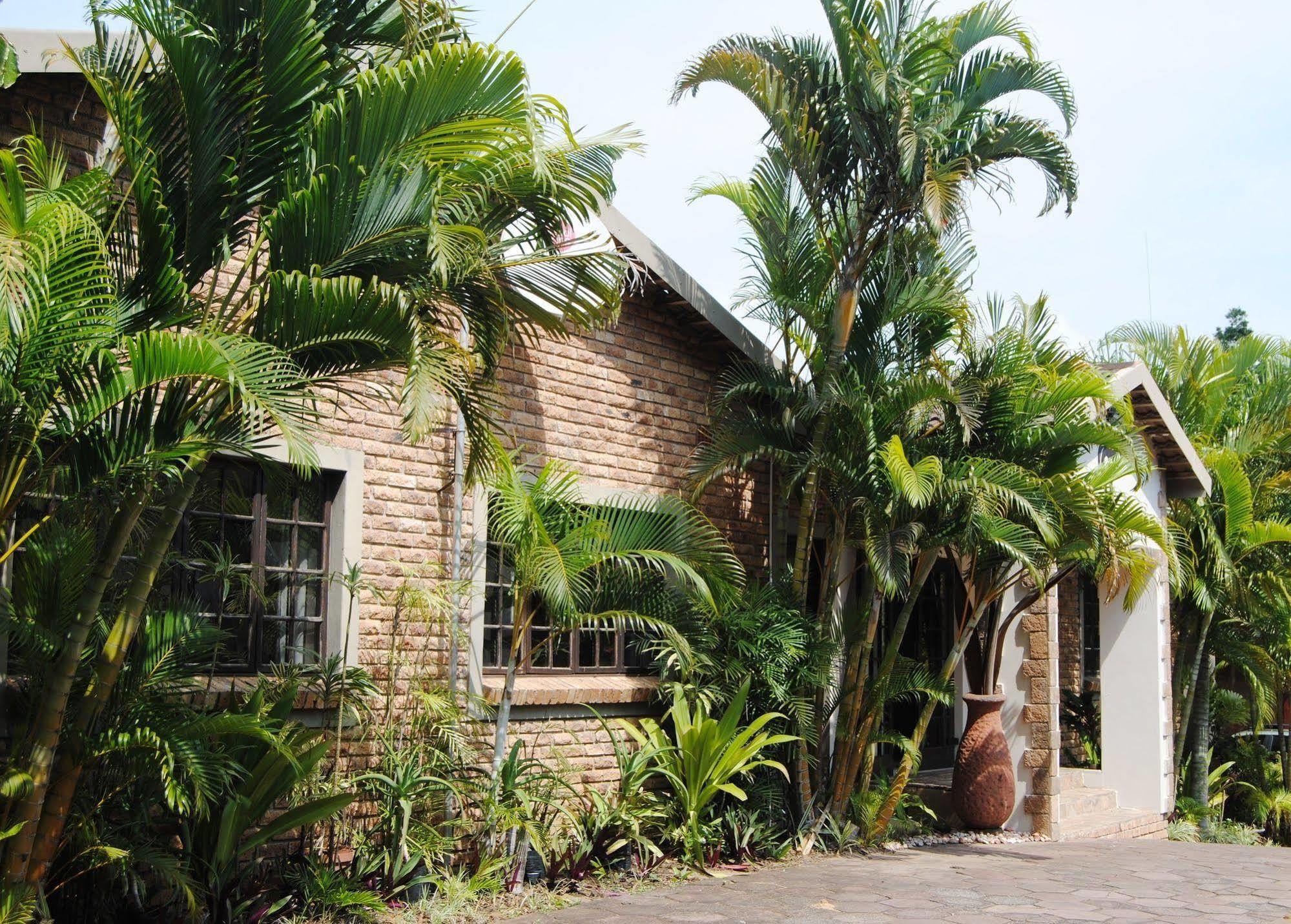 Saint Lucia Estuary African Dreamz Guest House מראה חיצוני תמונה